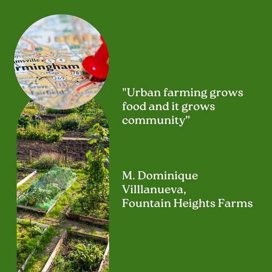 10 Ways Urban Farming is Changing Birmingham, Alabama